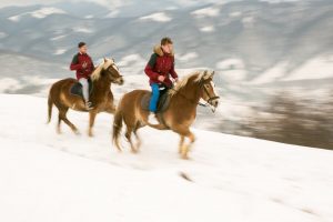 Legătura emoțională dintre om și animal. Om vs cal Povestea Locurilor Carpathian Horse Trekking featured