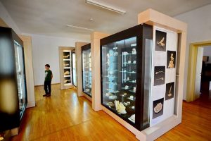 Muzeul Aurului BRAD Enjoy HUNEDOARA