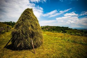 Zone folclorice din Hunedoara - Cerbăl